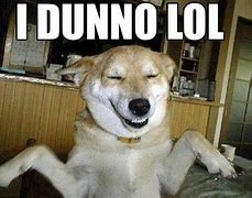 Image result for Dog Slightly Smiling Meme