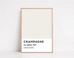Image result for Champagne Mist Pantone