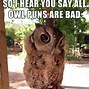 Image result for Happy Owl Meme