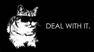 Image result for Deal with It