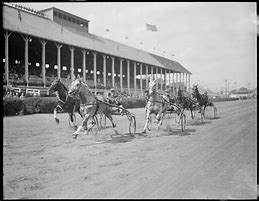 Image result for Harness Racing Homepage