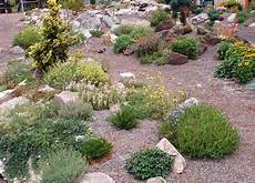 creare un giardino roccioso giardino roccioso 1704 pollicegreen creare un giardino roccioso giardino roccioso 1704 pollicegreen