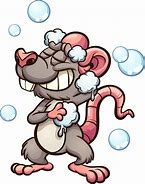 Image result for Rat Having a Shower