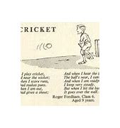 Image result for Cricket Poetry