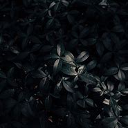 Image result for Black Wallpaper for iPad