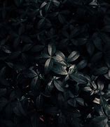 Image result for iPad Black Wallpaper