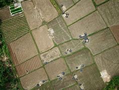 Image result for Aerial Field Shot