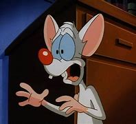 Image result for Pinky and the Brain Billie