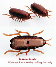 Image result for Cockroach Vibrating Motor