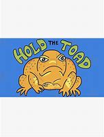 Image result for Toad Frog Surprisememe