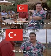 Image result for Turkey Brain Meme