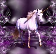 Image result for Best Unicorn