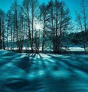 Image result for Gothic Winter Landscape Wallpaper