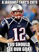 Image result for New England Patriots Funny Memes