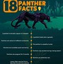 Image result for Black Panther Walking Down a Hill
