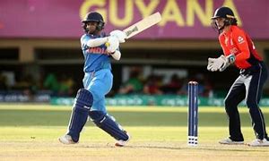 Image result for Cricket with 2 Legs