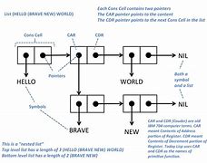Image result for Apple Cell Diagram