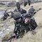 Image result for Welsh Special Forces