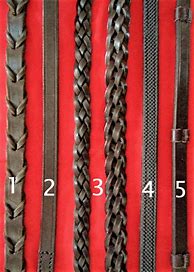 Image result for Horse Bridles and Bits