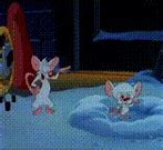 Image result for Pinky and the Brain Parts of the Brain Meme