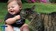Image result for Funny Baby Clips