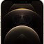 Image result for iPhone 12 Pro Max Dorado