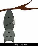 Image result for Cartoon Bat Upside Down