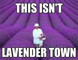 Image result for Lavender Meme