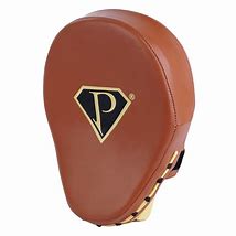 Image result for Punch Mitts