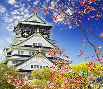 Image result for Osaka Sightseeing