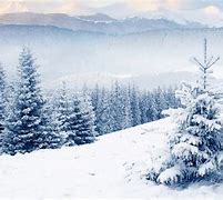 Image result for Winter Wallpaper 1920X1080 HD