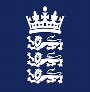 Image result for England Logo Cricket Helmet