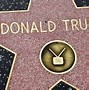 Image result for Donald Trump Star