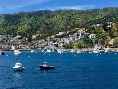 Image result for 2019 Avalon Catalina