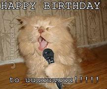 Image result for Happy Song Cat Meme