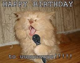 Image result for Happy Birthday Boy Cat Meme