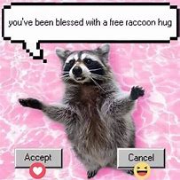 Image result for I Love You in Raccoon Meme
