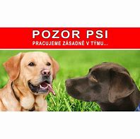 Image result for Pouzdro SE Psem