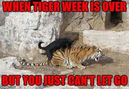 Image result for Tiger Team Meme