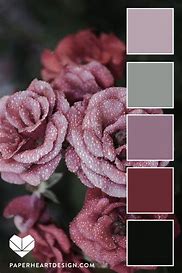 Image result for Dusty Pink and Green Aesthetic