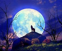 Image result for Beautiful Moon Art