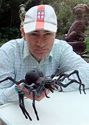 Image result for Male in Giant Spider Web