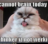 Image result for Brain Not Working Meme