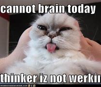 Image result for My Brain Today Memes