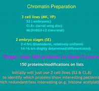 Image result for 4C and 5C Chromatin