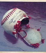 Image result for Miniature Baseball Bats
