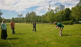 Image result for Professional Croquet Wickets