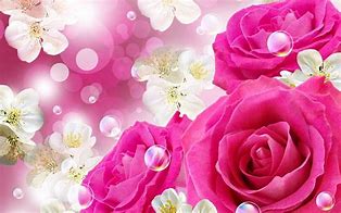 Image result for Pink Roses Computer Wallpaper
