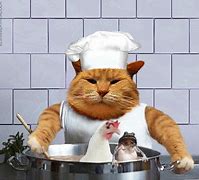 Image result for Cooked Cat Meme
