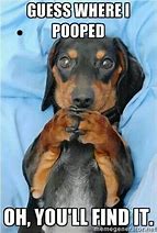 Image result for Dachshund Do Plank Meme